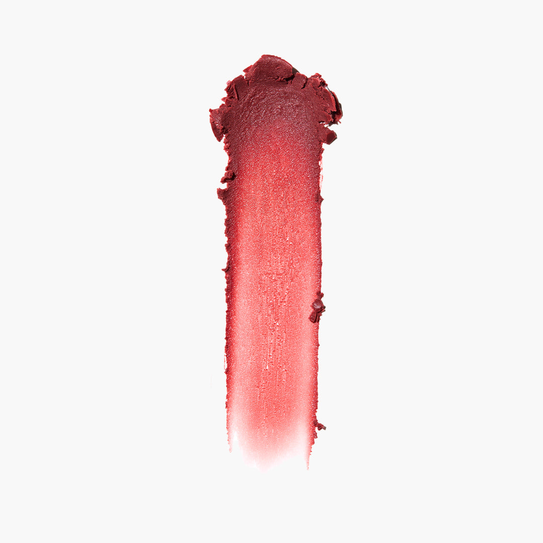 THE LIPPIE STICK - US 5255