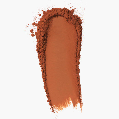 TINTED FACE POWDER - US 2990